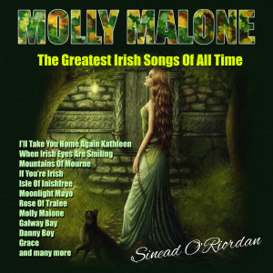 收听Sinead O'Riordan的Isle Of Inishfree歌词歌曲