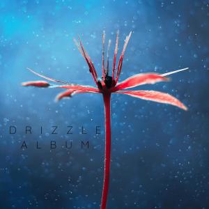 Eclectic Nature Noise的专辑Drizzle Album