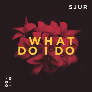收聽SJUR的What Do I Do歌詞歌曲