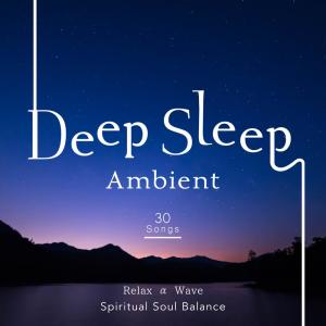Relax α Wave的专辑Deep Sleep Ambient - Spiritual Soul Balance