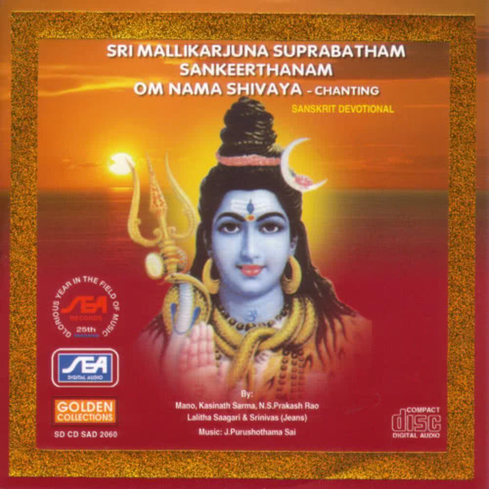 Viswanatha Astakam