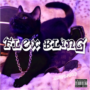 Album Flex Bling (Explicit) from Swiperboy