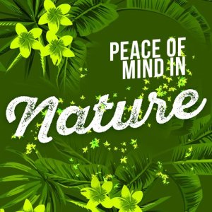 Zen Natural Meditation的專輯Peace of Mind in Nature