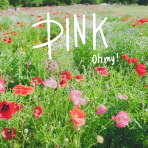 Listen to PINK song with lyrics from Oh My!