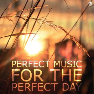 C41的专辑Perfect Music for the Perfect Day