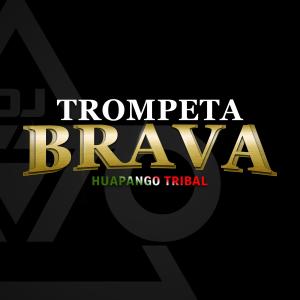 DJ Otto的專輯Trompeta Brava