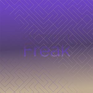 Various Artists的专辑Unfermented Freak