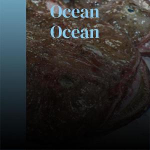 Various的专辑Ocean Ocean