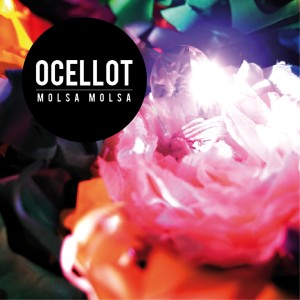 ดาวน์โหลดและฟังเพลง Sal a la Pell พร้อมเนื้อเพลงจาก Ocellot