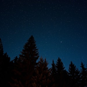 收聽夜聲的蟬聽起來輕鬆歌詞歌曲