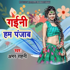 ดาวน์โหลดและฟังเพลง Gaini Ham Punjab พร้อมเนื้อเพลงจาก Amar Sahni