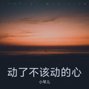 收听琴儿的动了不该动的心 (完整版)歌词歌曲
