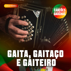 Varios Artistas的专辑GAITA, GAITAÇO E GAITEIRO