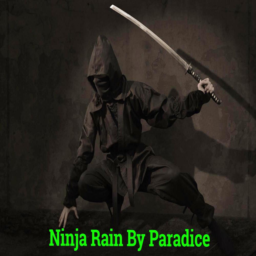Ninja Rain