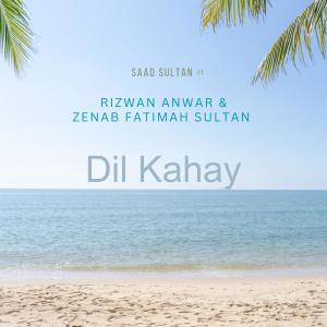 Album Dil Kahay (feat. Rizwan Anwar & Zenab Fatimah Sultan) from Saad Sultan