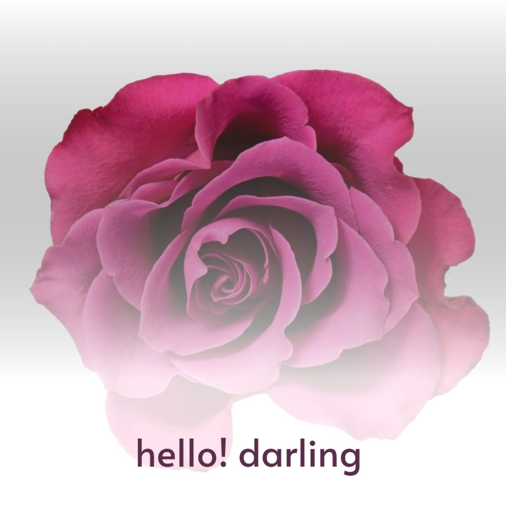 Hello! Darling