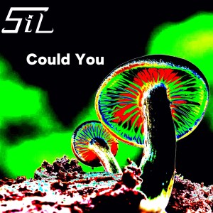 Album Could You from Sil
