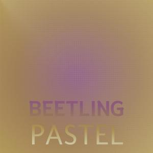 Various的专辑Beetling Pastel