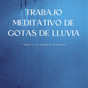 Album Trabajo Meditativo De Gotas De Lluvia: Armonía De Enfoque Binaural oleh The Unexplainable Store