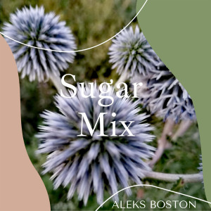 Listen to Last Dream song with lyrics from Aleks Boston