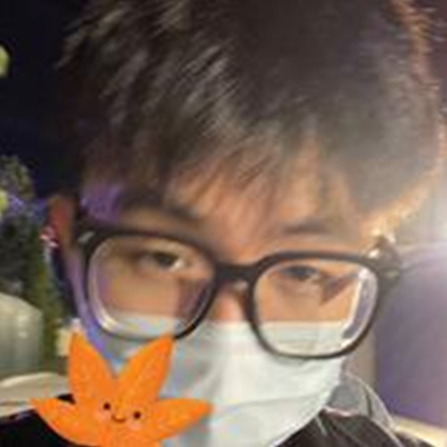 底提DTEE