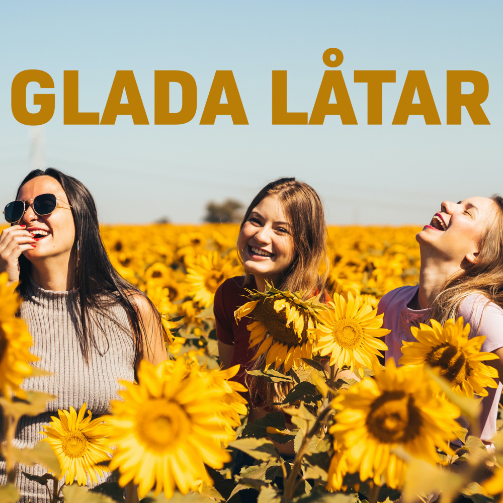 När solen går ner