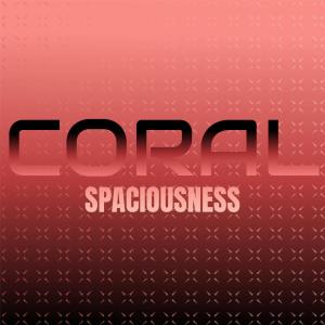 Album Coral Spaciousness oleh Various