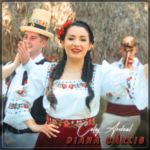 Album Colaj Ardeal from Diana Cârlig