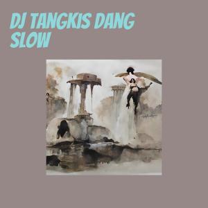 Dengarkan lagu Dj Tangkis Dang Slow nyanyian DANDY DWI SEPTIADI dengan lirik