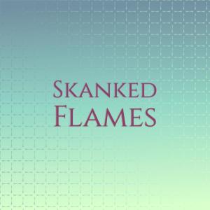 Album Skanked Flames from Various