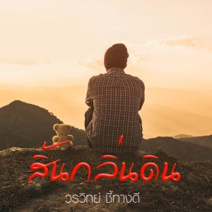 Listen to สิ้นกลิ่นดิน song with lyrics from วรวิทย์ ชี้ทางดี
