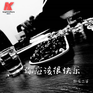 Listen to 洪荒之力（DJ二爷版） (DJ二爷版) song with lyrics from 卧龙二爷