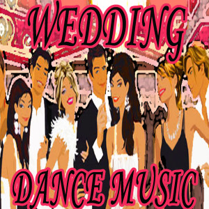 收聽Wedding DJ's的Party in the USA歌詞歌曲
