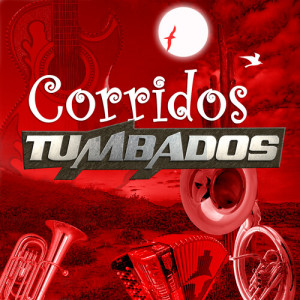 Listen to La Imagen del Malverde (Norteño) song with lyrics from Honorables