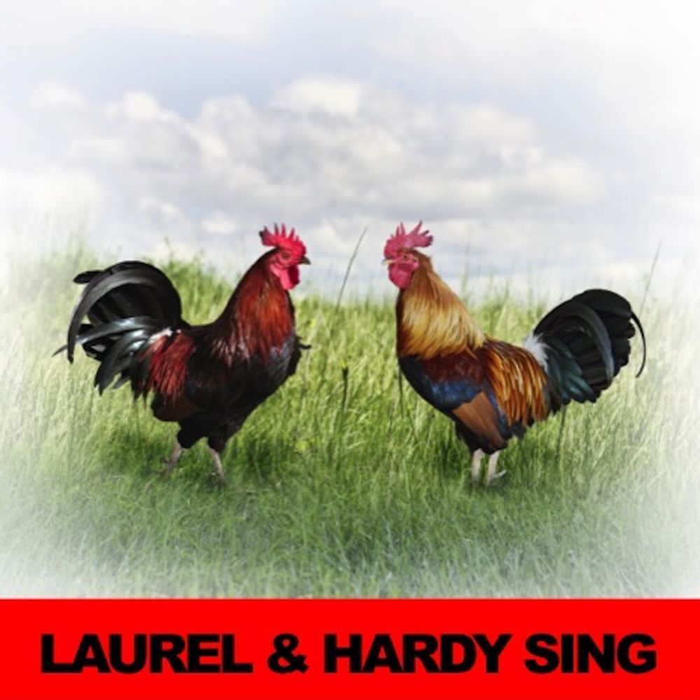 The Cricket Song
