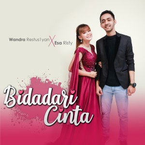 Dengarkan Bidadari Cinta lagu dari Wandra Restusiyan dengan lirik