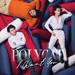 Listen to พบกันใหม่ - Percussion Set (Live in Polycat I Want You Concert) song with lyrics from Polycat