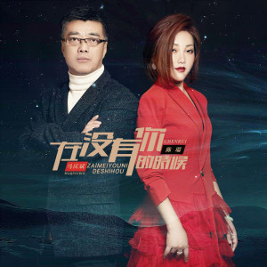 陈瑞的专辑在没有你的时候