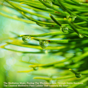 Listen to The Meditation Music To Ease Your Heart song with lyrics from Meditation And Stability