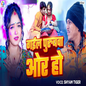 Album Gail Purubava Or Ho from Shyam Tiger
