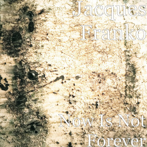 Dengarkan Now Is Not Forever lagu dari Jacques Franko dengan lirik