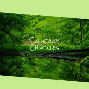 Listen to Barbara Montgomerie song with lyrics from Leshawn Mnany