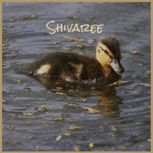 Dengarkan lagu Shivaree nyanyian Shie Shas dengan lirik
