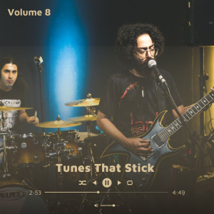 Various的專輯Tunes That Stick Vol 8