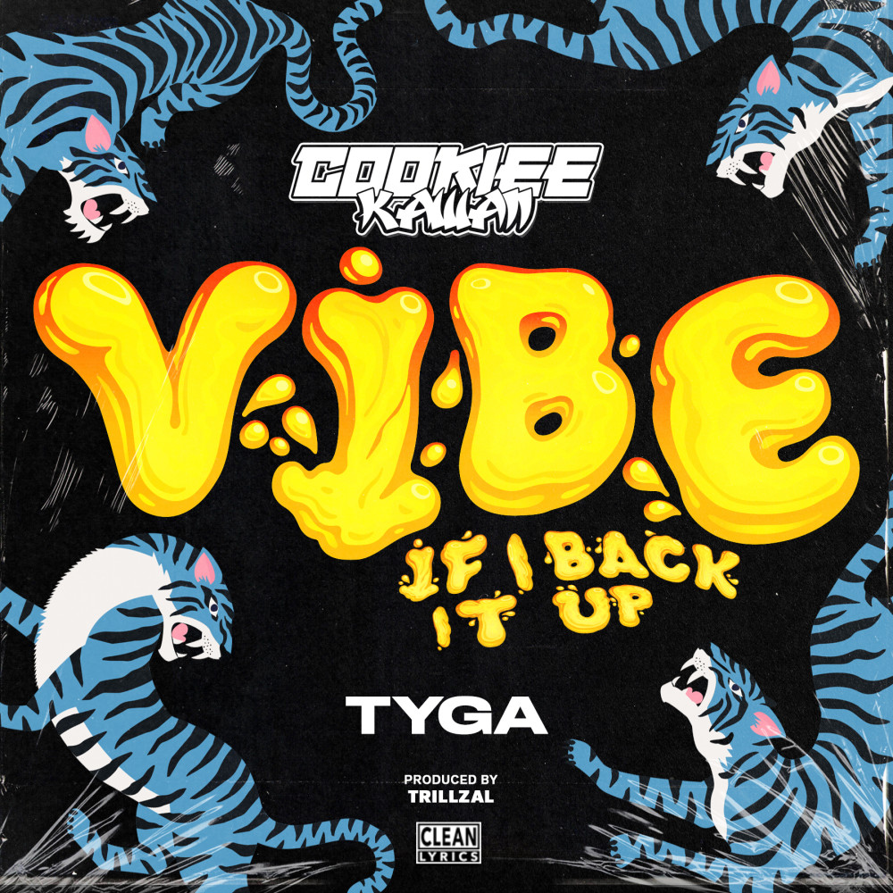 Vibe (If I Back It Up) (TrillzAL Remix)