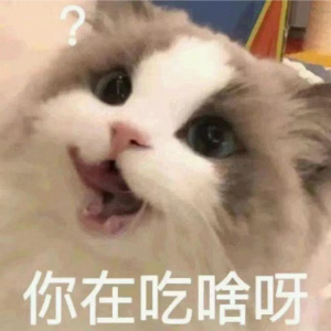 Album 赴鸿门 from 墨晞竹
