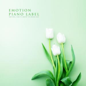 Album Emotional Piano To Comfort The Broken Heart from Korea Various Artists