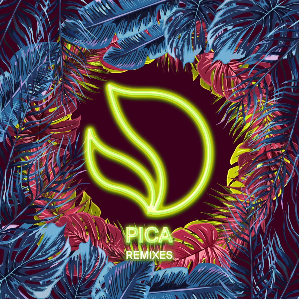 Pica (Cat Dealers Remix)