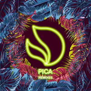 收聽Deorro的Pica (Cat Dealers Remix)歌詞歌曲