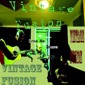 Vintage Fusion的专辑Drive Me Insane